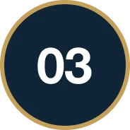 Number three in a circular design